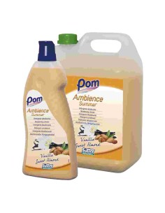 DETERGENTE ambientador  AMBIENCE SUMMER -1 x 5l- 2