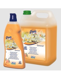DETERGENTE ambientador  AMBIENCE SUMMER -1 x 5l-