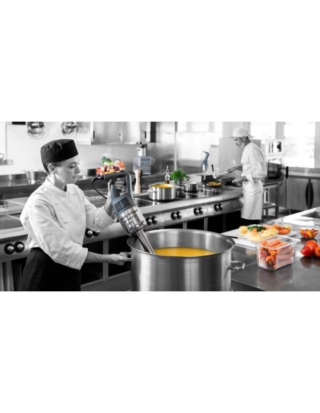 TRITURADOR ROBOT COUPE MP350 VV LED