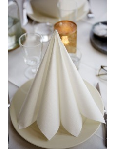 SERVILLETA AIRLAID 40X40 -12 x 60u- BLANCA