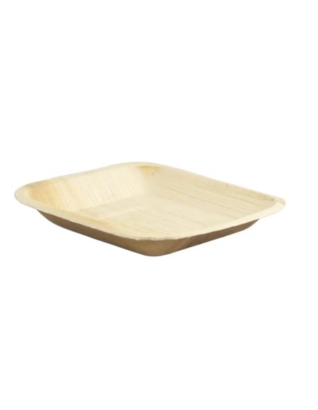 BANDEJA ARECA RECT 27X27 -1 x 60u-