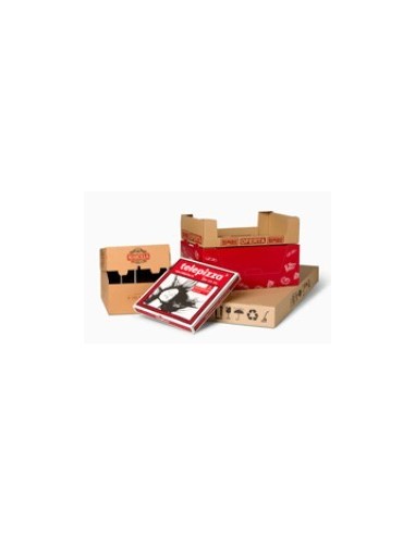 CAJA CARTON PICNIC 275X140X200 MM -1 u-