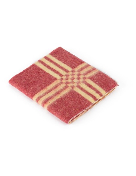 GAMUZA 2 CARAS 45x40 -1 x 12u-