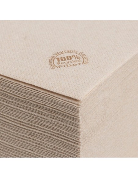 SERVILLETA 40x40 2C PUNTAPUNTA -20pq x 100u- NATURE