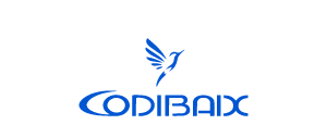 codibaix.com